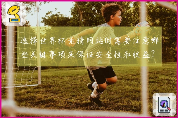 选择世界杯竞猜网站时需要注意哪些关键事项来保证安全性和收益？